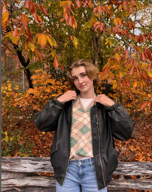 Who is Whitney Hanson ? (Author) Wiki, Biography, Age, Boyfriend, Family, Facts and More